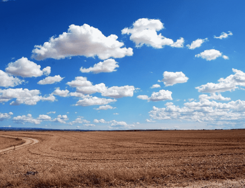 What You Need To Know Before Making An Offer To Purchase Land