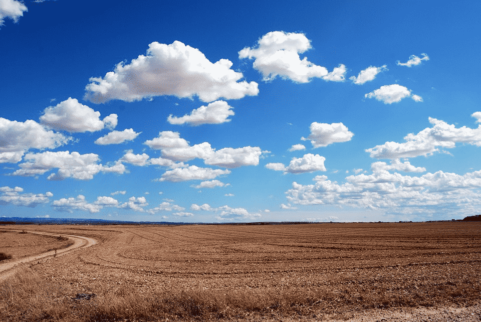 Open field under cloudy blue skies