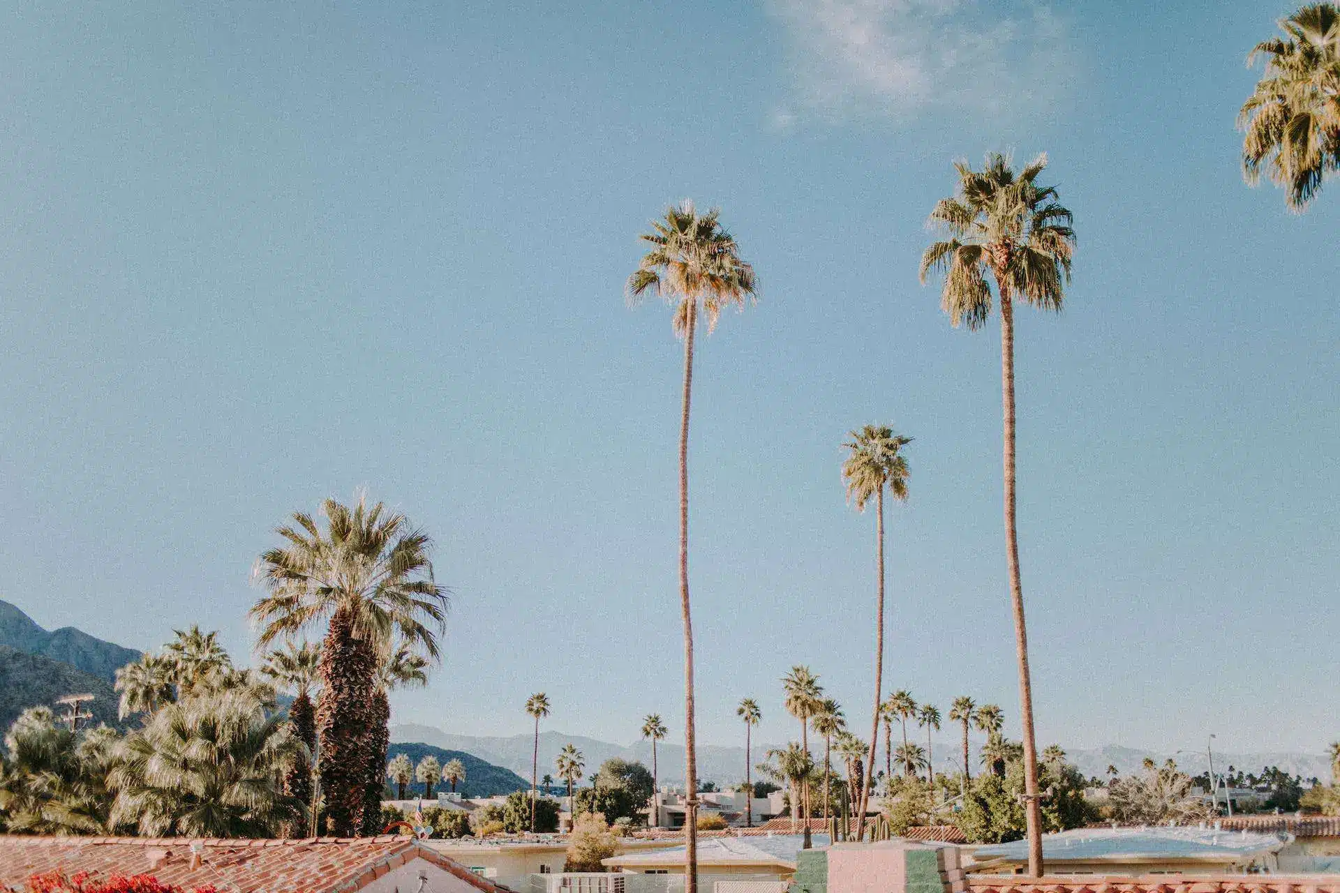 view of a neighborhood in California