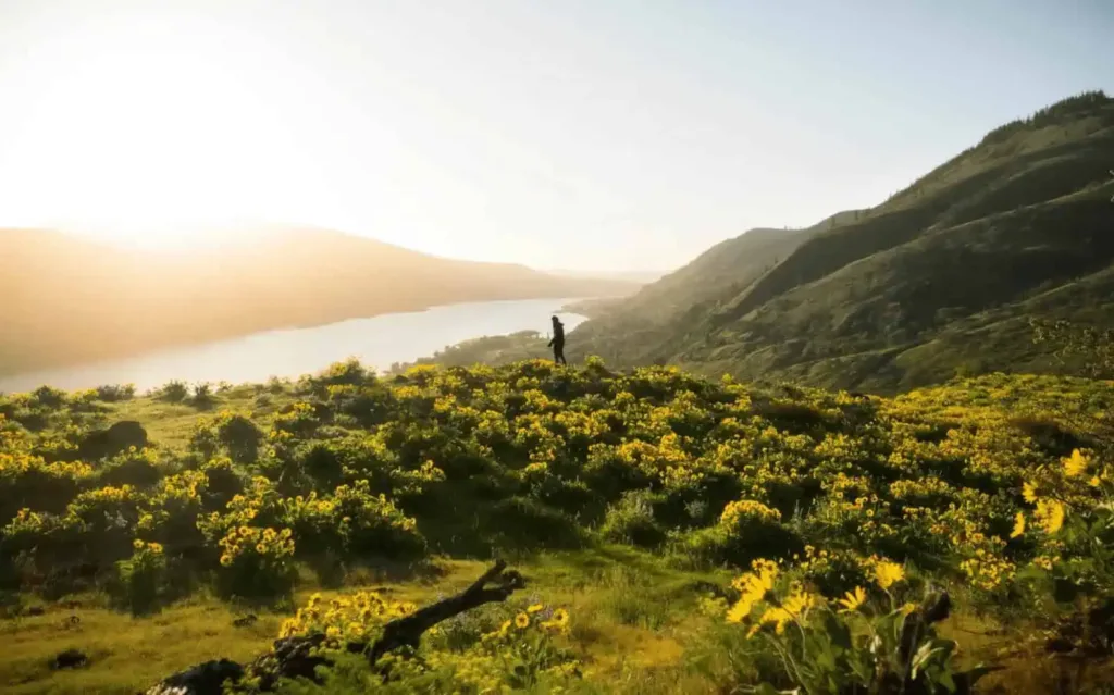 oregon
