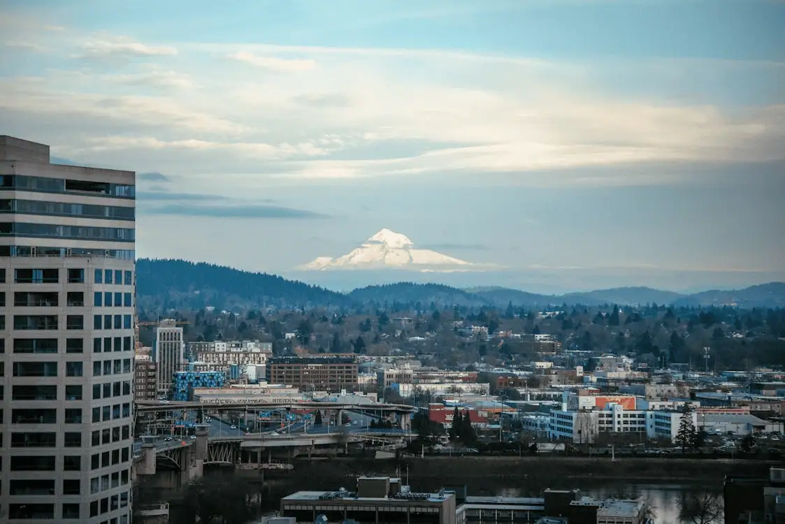 View from the City